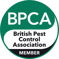 BPCA