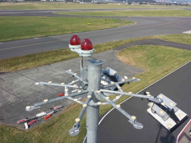 What is the best bird deterrent? NBC Environment