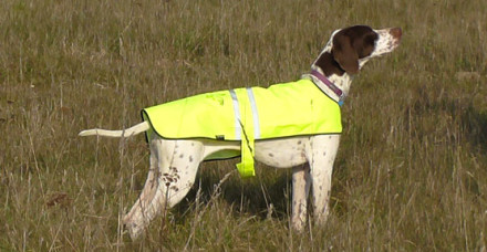 wildlife management dog