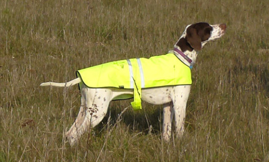 wildlife management dog