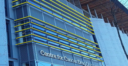 Cancer Research Institute