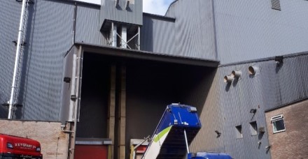 Pigeons accessing grain silo