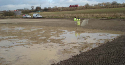 stanstead lagoon bird strike news