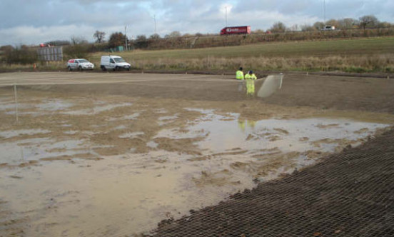 stanstead lagoon bird strike news