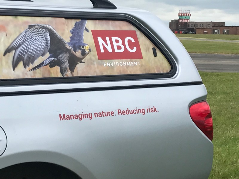 How much does pest control in the UK cost? - NBC Environment