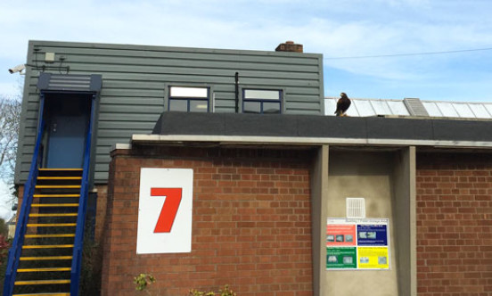 Bath manufacturing unit bird of prey rooftop