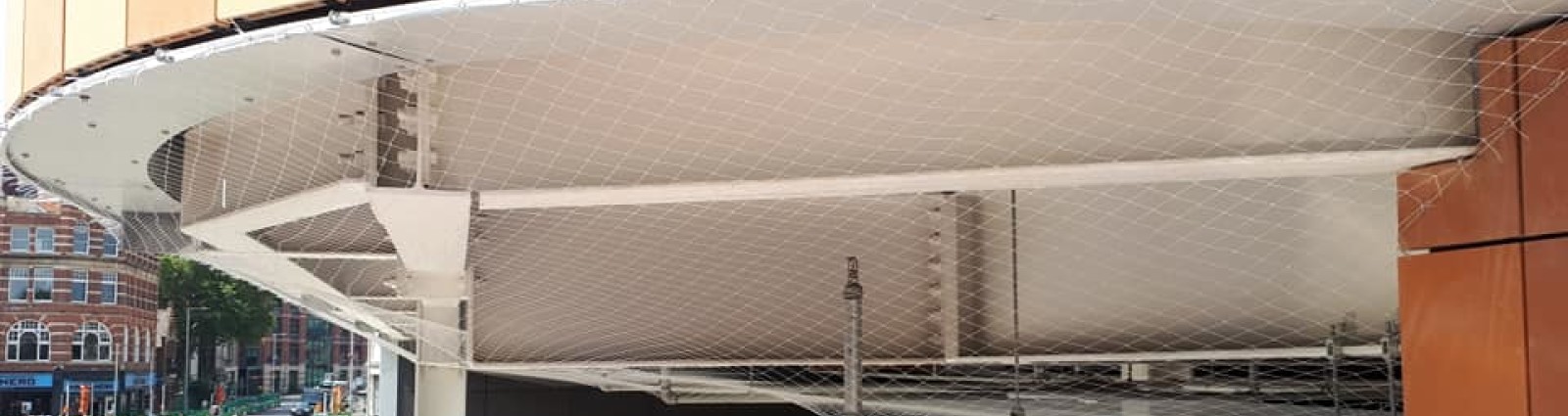 Bird Netting under canopy 1