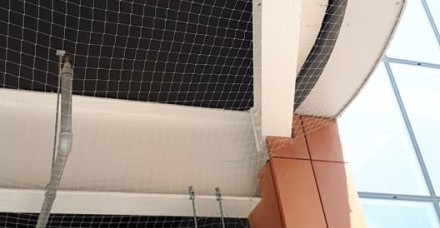 Bird Netting under canopy