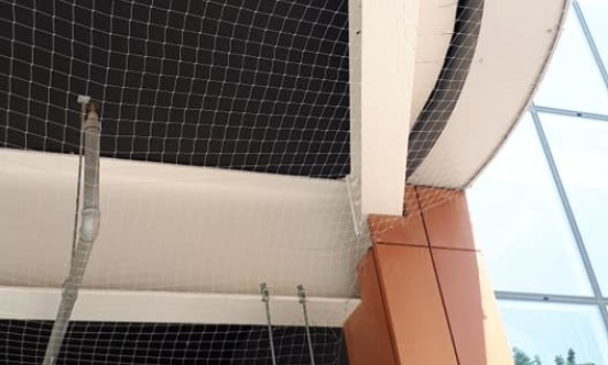 Commercial Bird Netting Installation