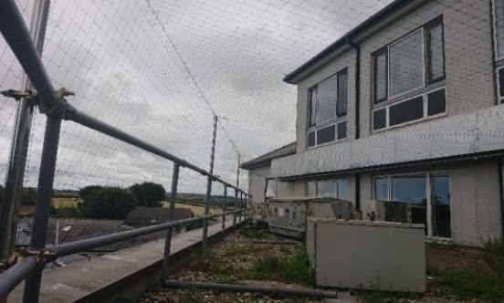 Cornwall Hospital bird netting on roof 2