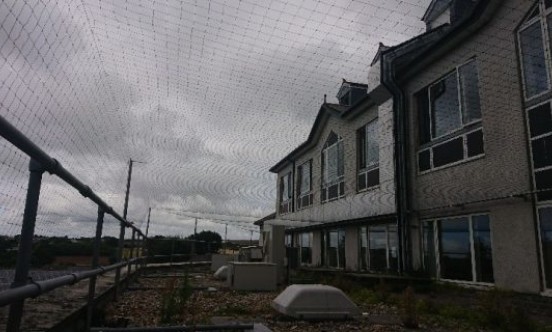 Cornwall Hospital bird netting on roof