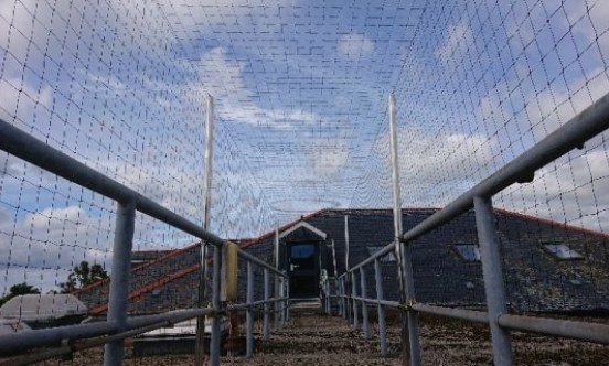 Cornwall Hospital roof walkway under bird netting