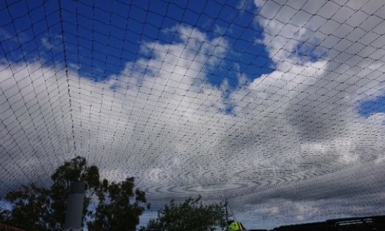 Cornwall Hospital underneath bird netting