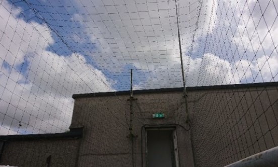 Cornwall Hospital walkway under bird netting 2