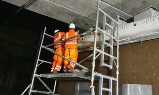 Morgan Sindall pigeon proofing