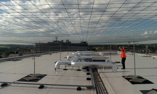 Rooftop Bird Netting