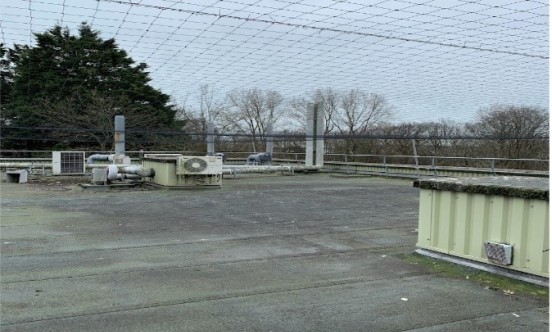 Swansea Uni bird proofing 1