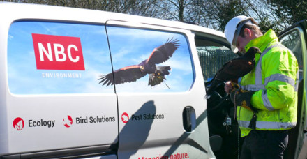 United Fish Bird of Prey van